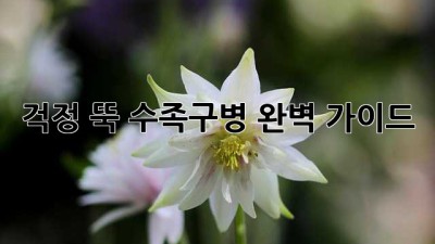 걱정 뚝! 수족구병 완벽 가이드