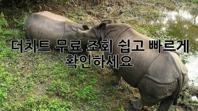 더치트 무료 조회: 쉽고 빠르게 확인하세요!