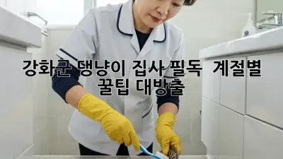 강화군 댕냥이 집사 필독! ✨ 계절별 꿀팁 대방출 🐾